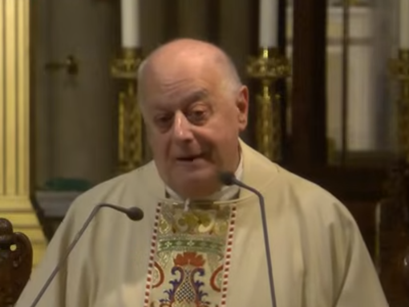 Msgr. LaMorte's Homily: December 8, 2025