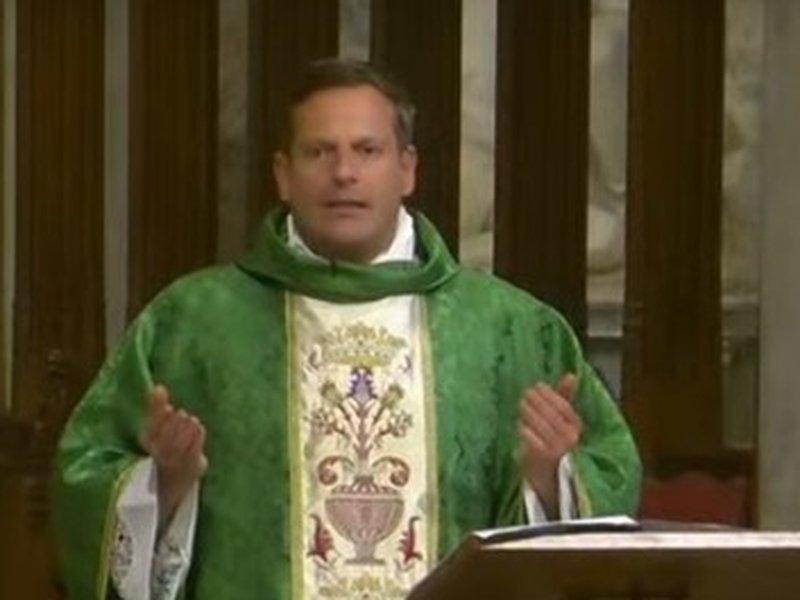 Homilía del padre Enrique Salvo: 6 de julio