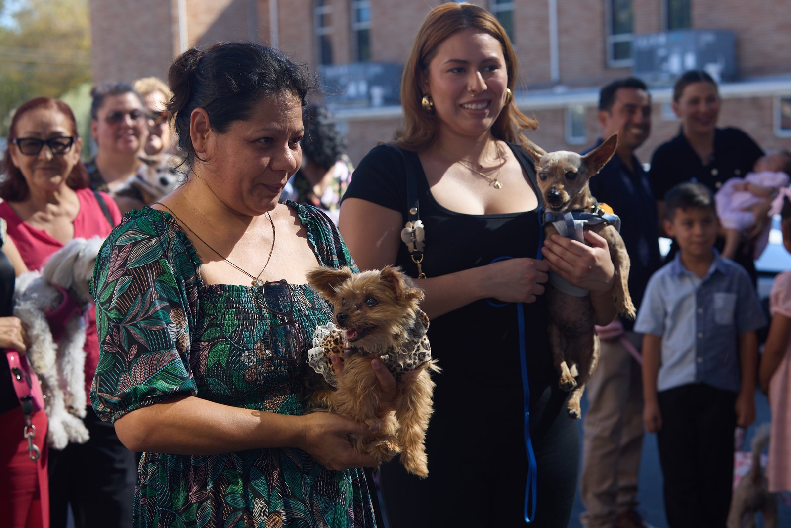 Parishioners wait to get their pets blessed during a special “Blessing of the Animals” event at at St. Francis of Assisi Church in Silver Lake on Oct. 4. (John Geronilla)