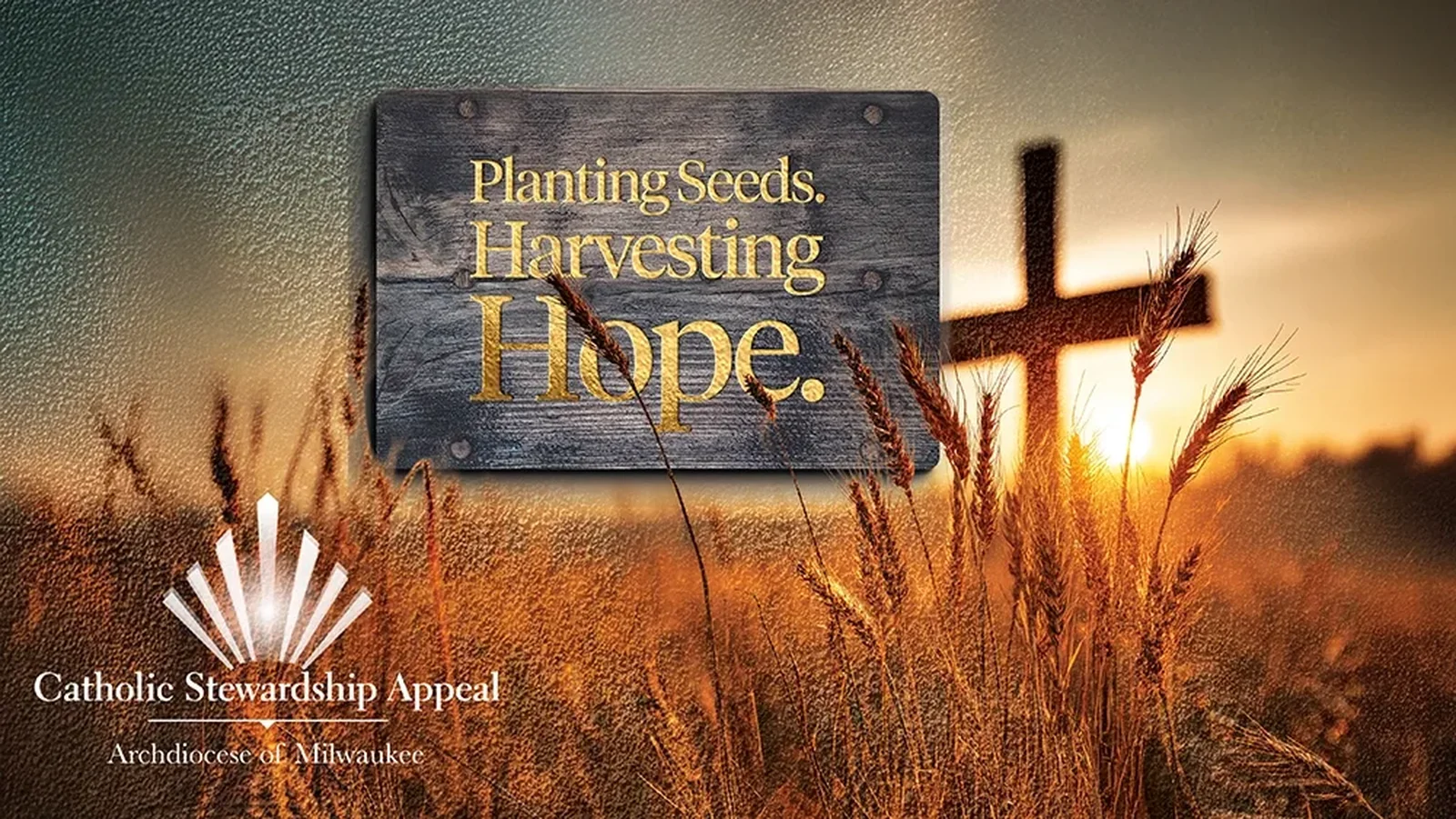 Catholic Stewardship Appeal