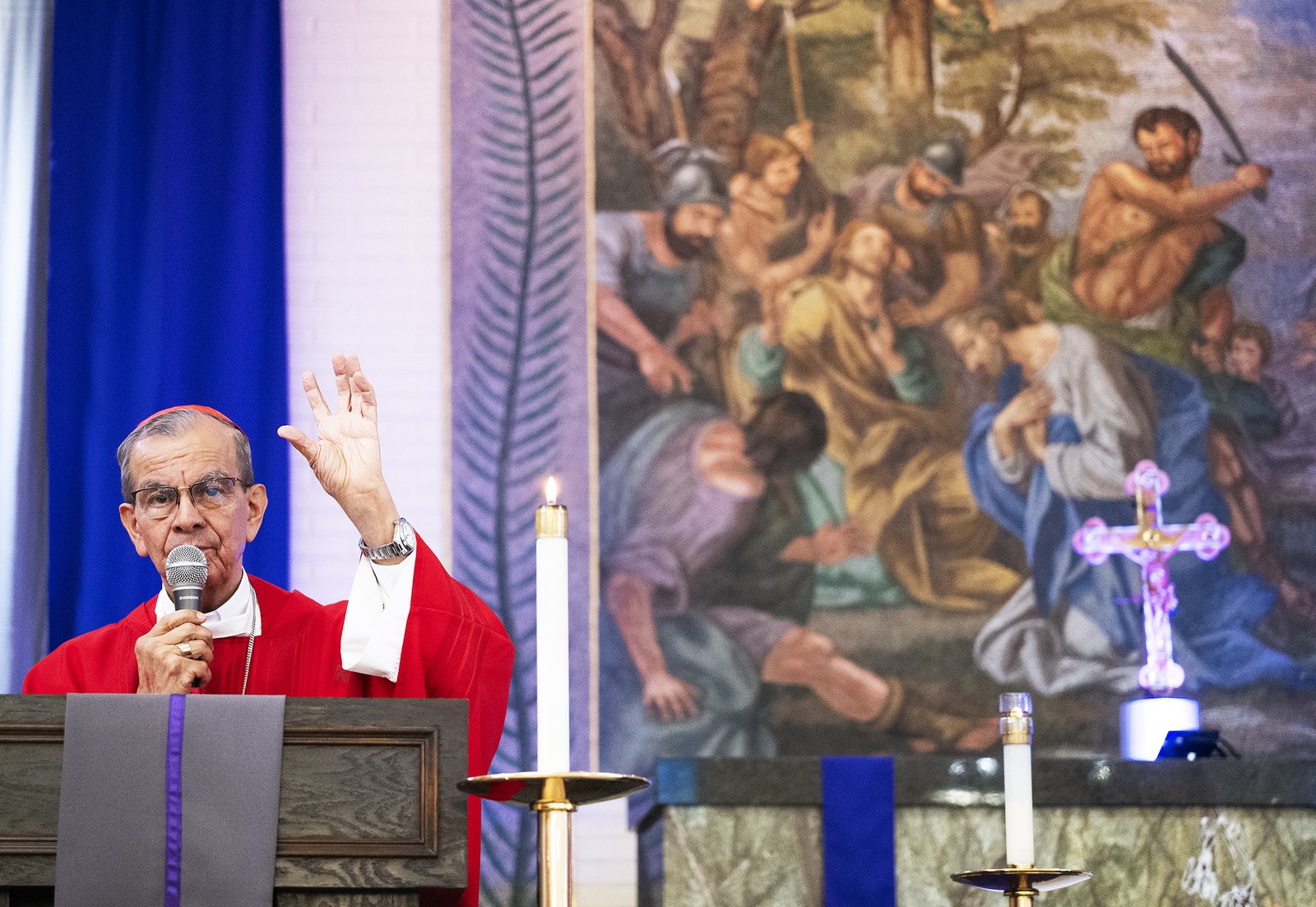 el salvador cardinal