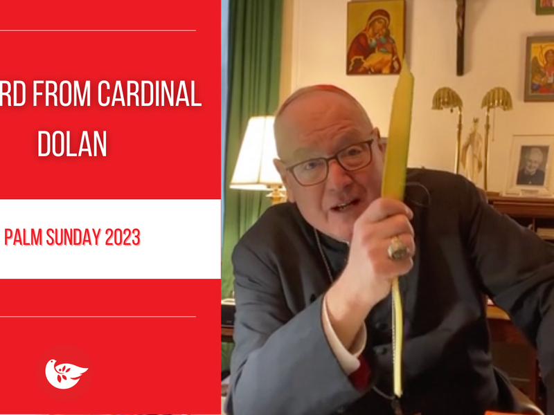 A Word From Cardinal Dolan: Palm Sunday 2023 