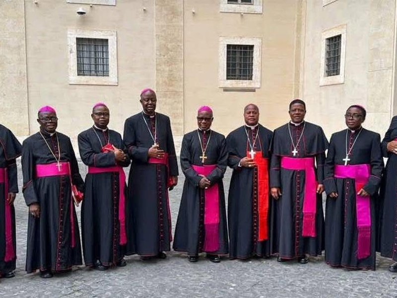 Cardinal Warns Against 'Quick-Fix' Airstrikes as Nigerian Bishops Meet Pope Leo XIV in Rome