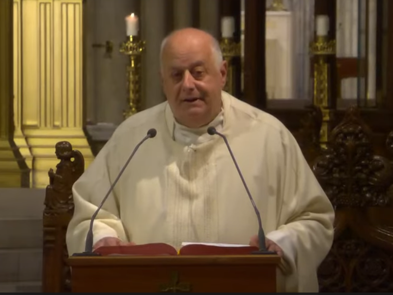 Msgr. LaMorte's Homily: July 26, 2024