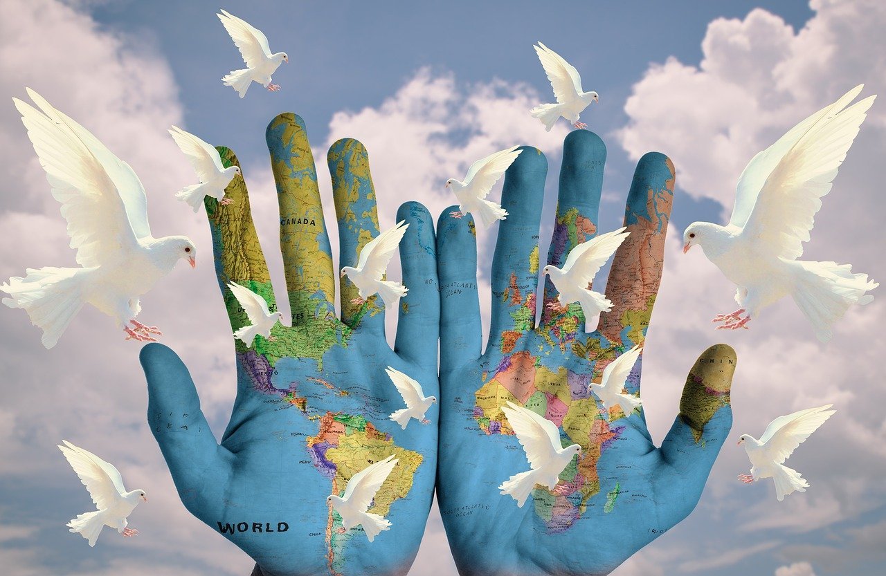Imagen referencial. Credito: PIXABAY