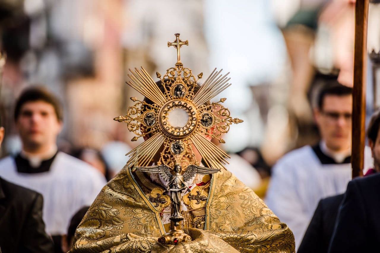 Imagen referencial Cathopic