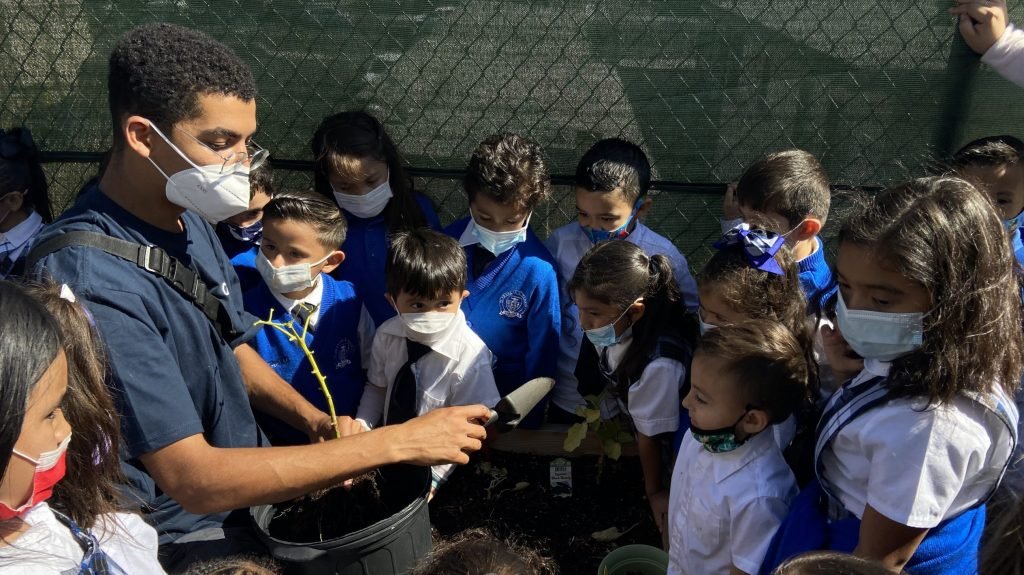 Un miembro del personal de Catholic Charities muestra a los alumnos de segundo grado de St. Frances Cabrini cómo quitar y replantar correctamente las plantas del jardín. (Foto: Adrián Flores)