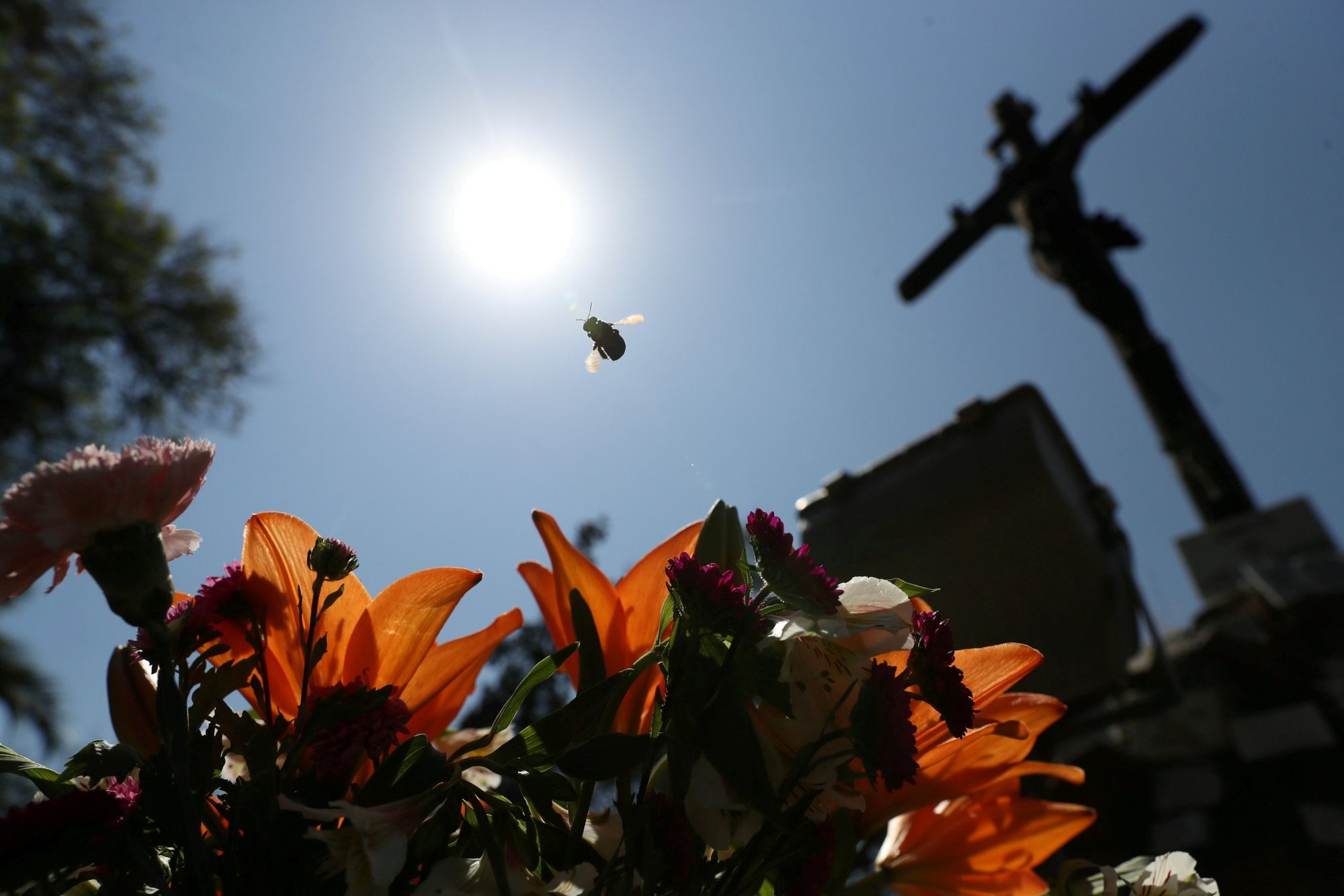 Una abeja se cierne sobre las flores delante de un crucifijo en un cementerio en Santiago, Chile, el 18 de febrero de 2021. (Foto CNS /Ivan Alvarado, Reuters)