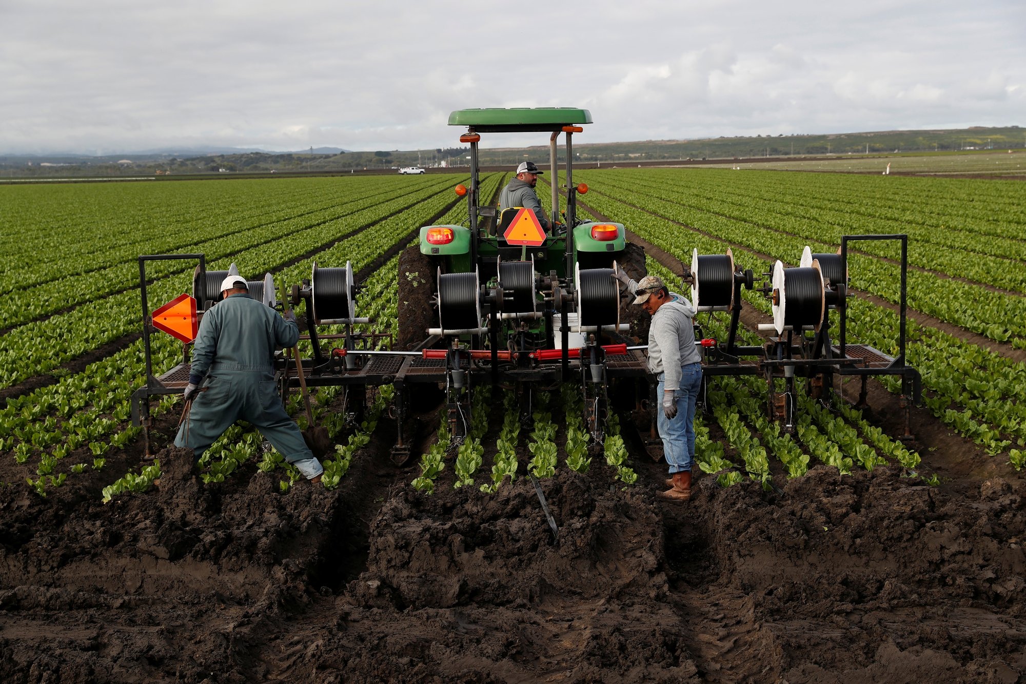 Trabajadores agrícolas trabajan en un campo de Marina, California, el 30 de marzo de 2020, en medio de la pandemia de coronavirus. (Foto CNS /Shannon Stapleton, Reuters)