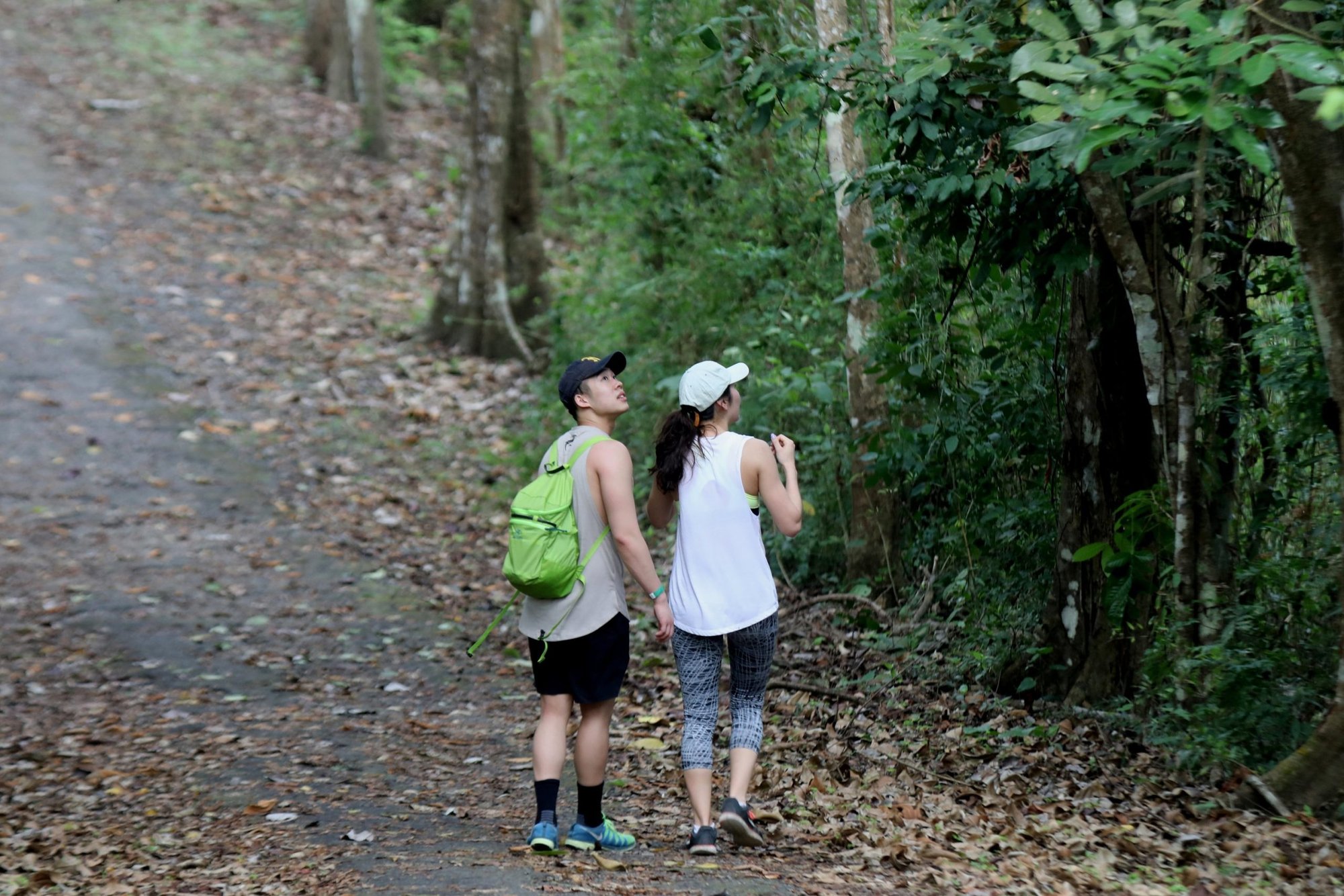 Jóvenes turistas de Canadá buscan la vida silvestre a lo largo de un sendero en El Parque Natural Metropolitano en las afueras de la ciudad de Panamá 25 de abril de 2018. El 27 de septiembre de 2022 es el Día Mundial del Turismo. (Foto CNS/Bob Roller)