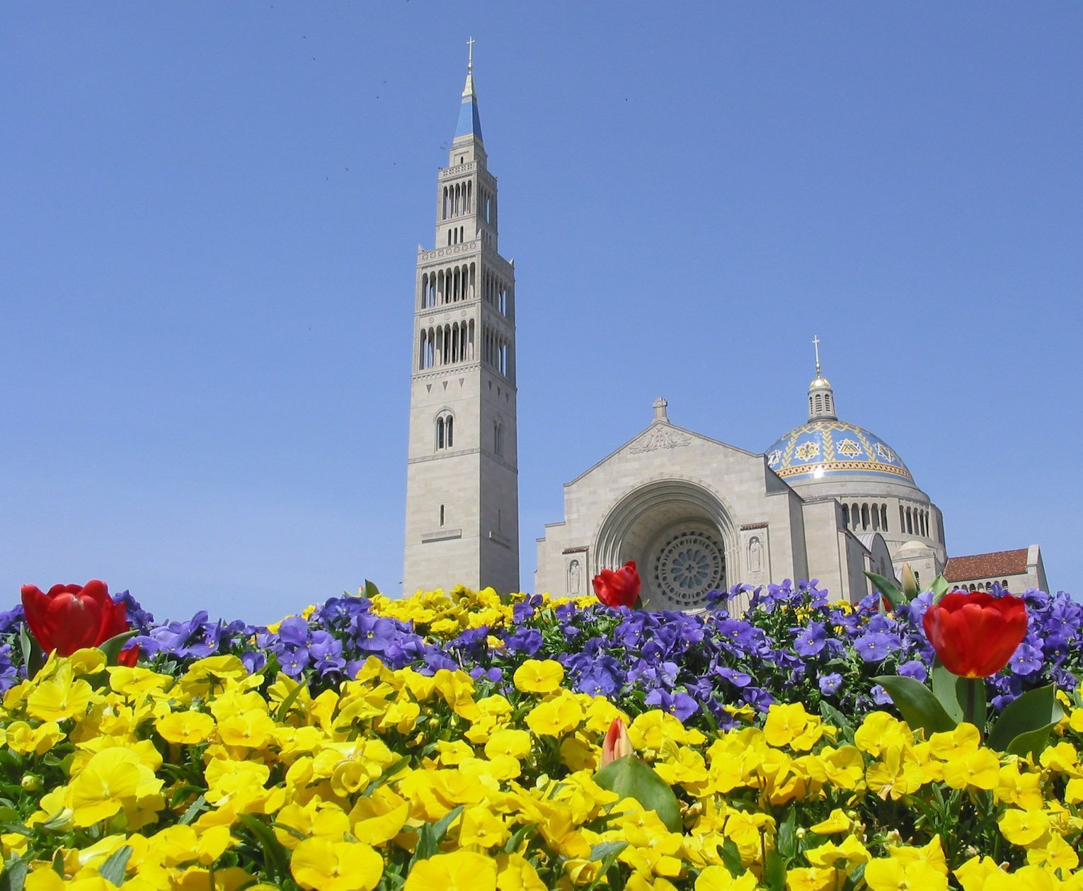 Los obispos estadounidenses han designado la Basílica del Santuario Nacional de la Inmaculada Concepción de Washington como lugar especial de peregrinación para el Año Jubilar 2025. Una foto de archivo muestra las flores de primavera que florecen fuera de la basílica. (Foto OSV News/Bob Roller)