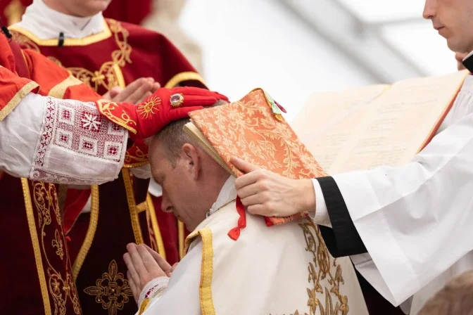 El Dicasterio para la Doctrina de la Fe declaró este jueves que la Fraternidad Sacerdotal San Pío X se encuentra en situación de cisma | Crédito: Fraternidad Sacerdotal San Pío X