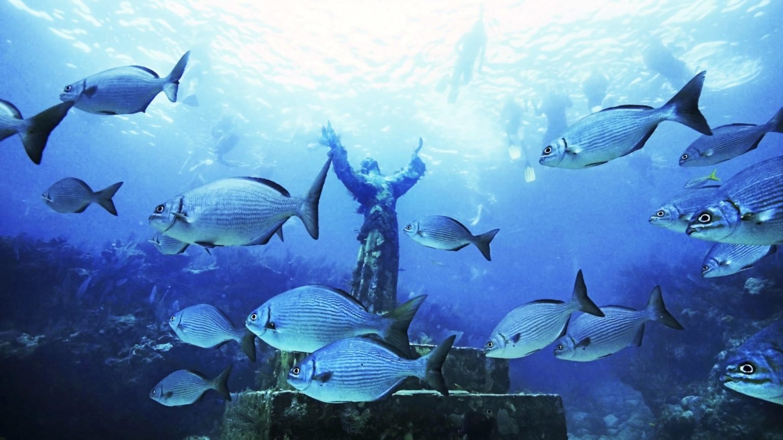 Una réplica de la estatua “Cristo del Abismo”, del escultor italiano Guido Galletti, rodeada de peces en el Parque Estatal John Pennekamp de Key Largo, Florida. (CNS/cortesía de VISIT FLORIDA)