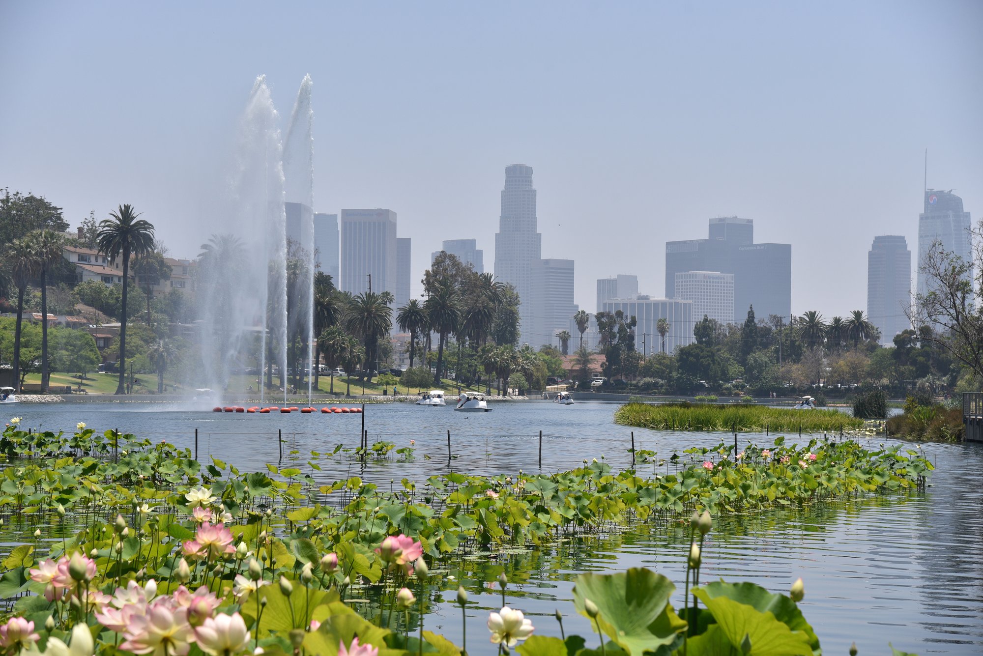 Echo Park Lake in Los Angeles. (SHUTTERSTOCK)
