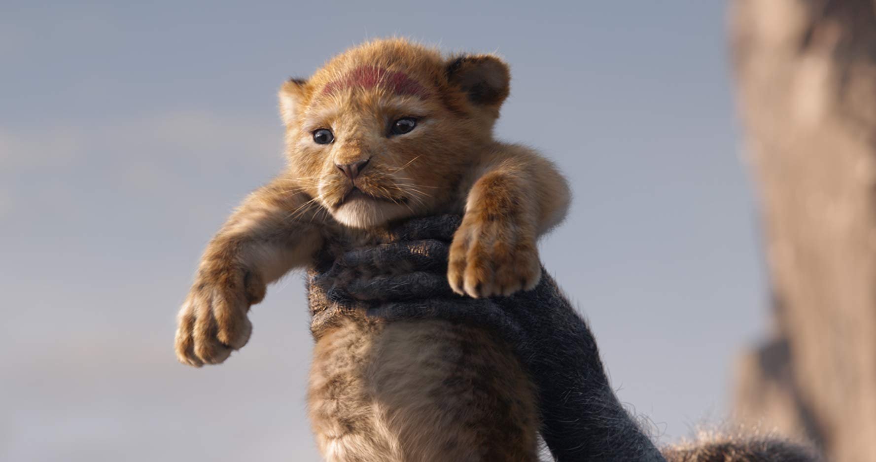 Scene from "The Lion King" 2019. (IMDB)