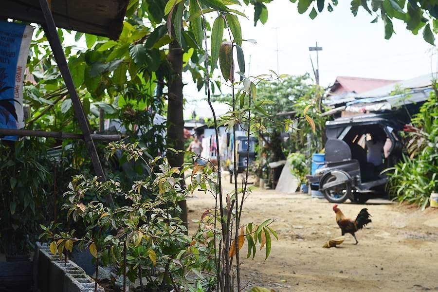 A neighborhood in Baranguay