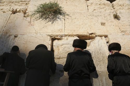 Jews praying at the Western Wall. Credit: Scott Ableman via Flickr (CC BY-NC-ND 2.0).
