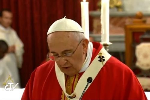 Pope Francis gives his homily during Mass in Istanbul on Nov. 29