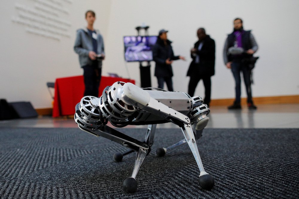 Students demonstrate the Mini Cheetah