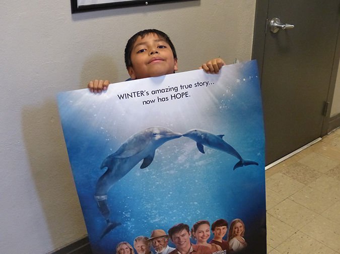 Dolphin-1