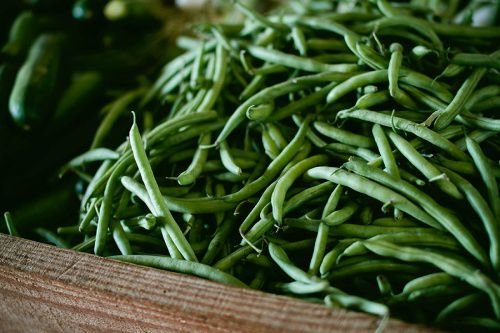 Are farming co-ops just a hipster trend? These Catholics beg to differ