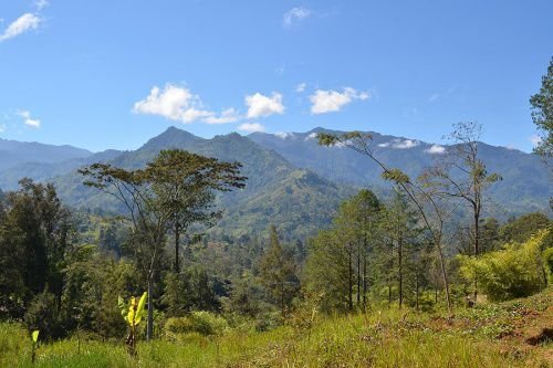 The highlands of Papua New Guinea. Credit: eGuide Travel via Flickr (CC BY 2.0).