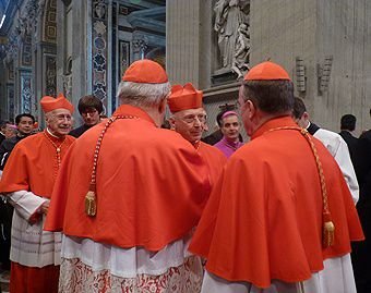Cardinals greet each other Nov. 24
