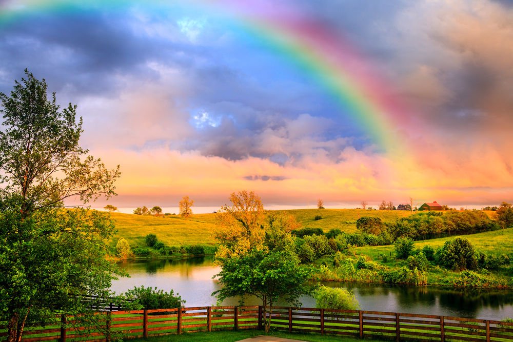(Alexey Stiop/Shutterstock.com)