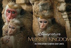 monkey kingdom