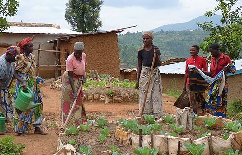 Women in Rwanda tend a community garden with techniques taught by Catholic Relief Services. Credit: Michelle Bauman/CNA.