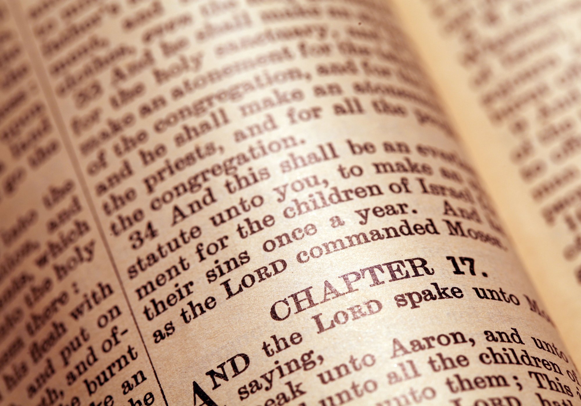 (Photo/Shutterstock.com)
