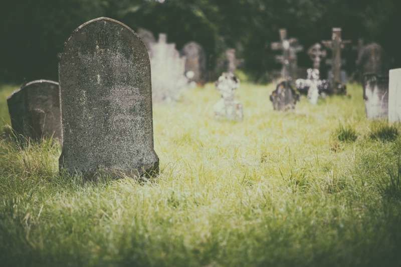 Credit: Stuart Monk/Shutterstock