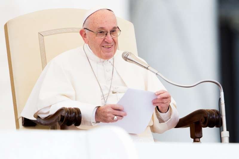 Pope Francis at the general audience Nov. 15