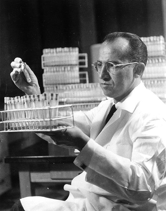 salk