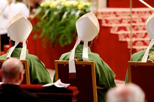Pope Francis celebrates Mass with new Cardinals in St. Peter's Basilica on Feb. 15