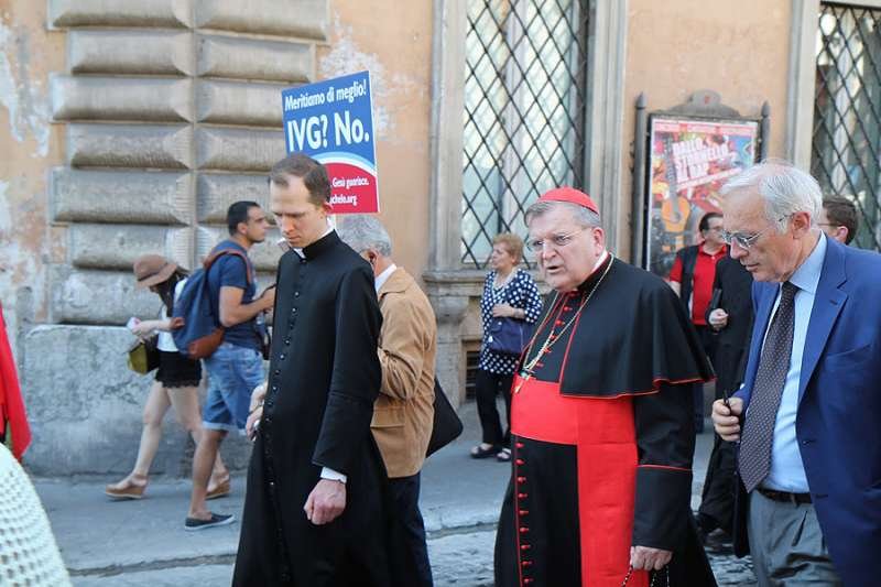 Cardinal Raymond Burke