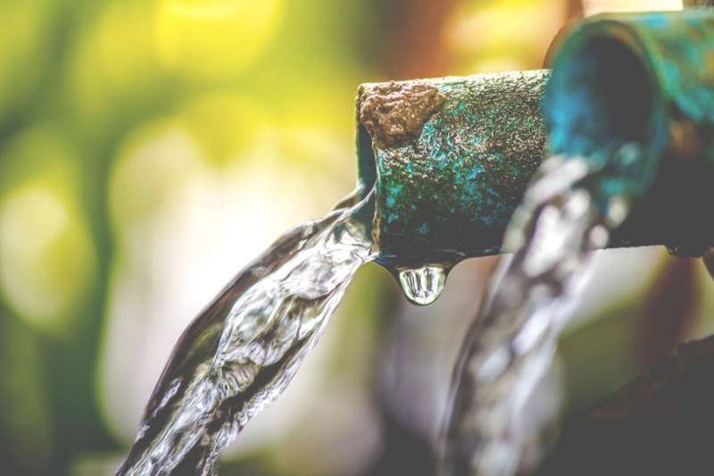 Credit: tum3123 / Shutterstock.