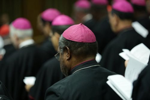 Inside the Synod Hall during the meeting of bishops and cardinals on Oct. 14
