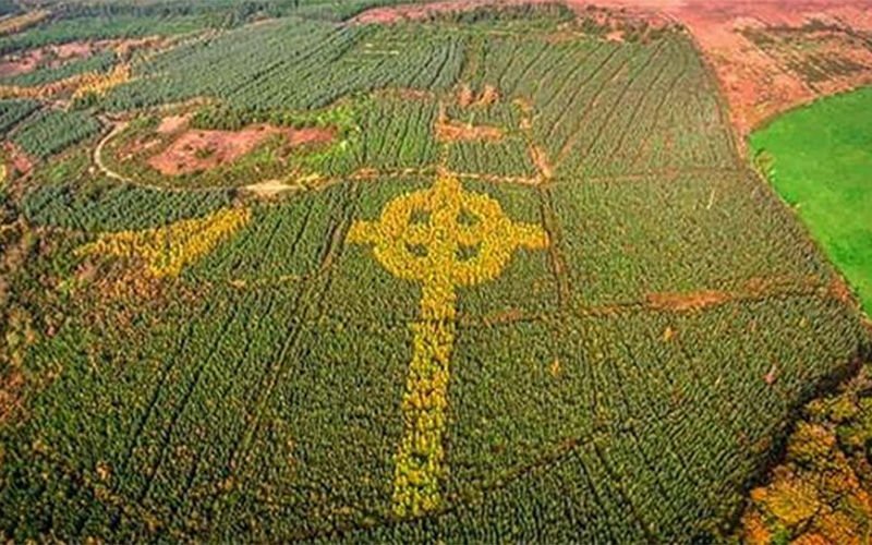 (photo via IrishCentral.com)