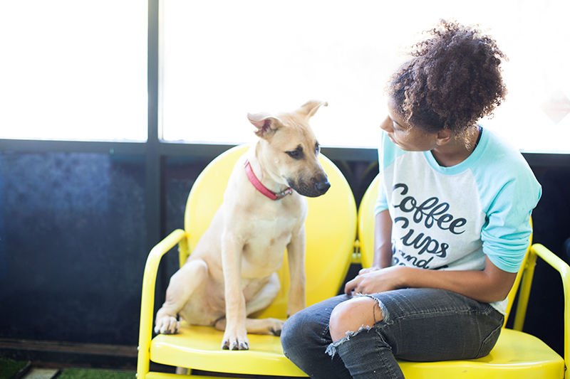A staff member from The Dog Cafe takes a break to chat with one of the cafe’s rescued dogs available for adoption. (photo/ALEXANDRA COOPER)