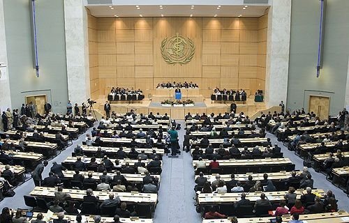 Participants at the opening of the plenary meeting of the World Health Assembly on May 19