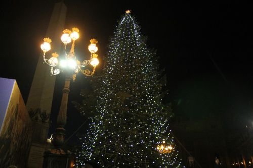 Vatican Christmas tree lighting in St. Peter's Square on Dec. 19