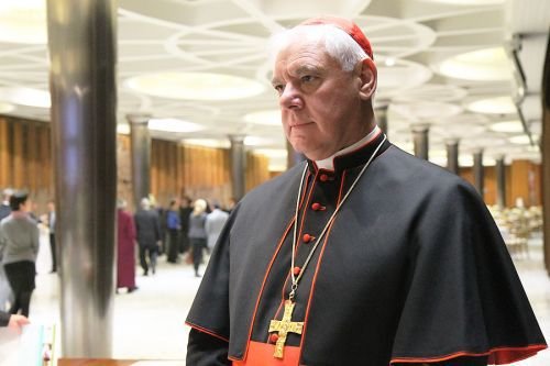 Cardinal Gerhard Müller