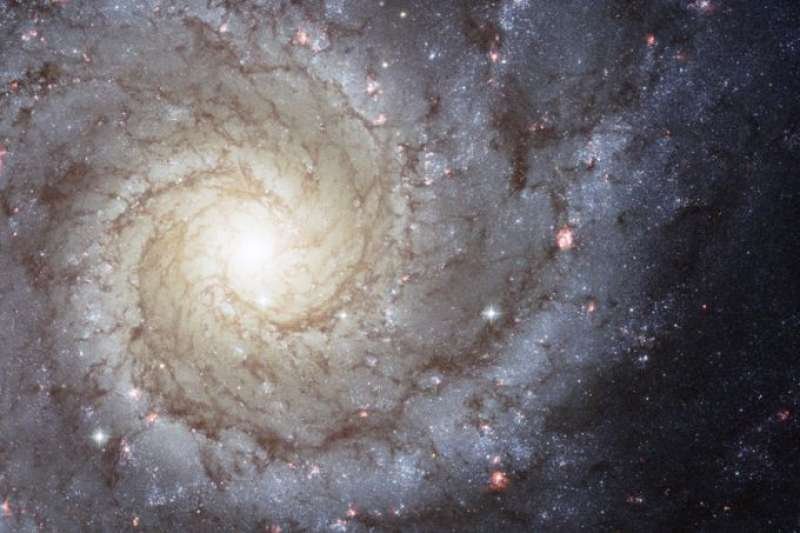 Galaxy M74. Credit: NASA/ESA/Hubble Collaboration.