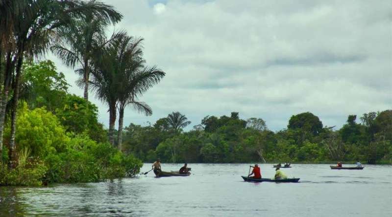 The Amazon river. Credit: Eduardo Berdejo/ ACI Prensa