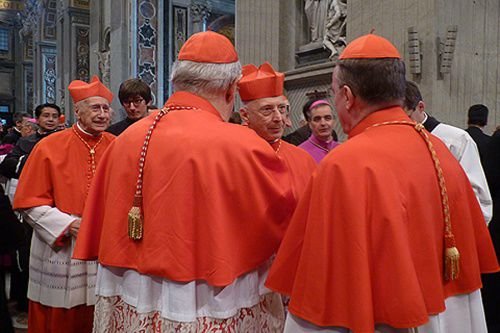 Cardinals talk after the consistory on November 24