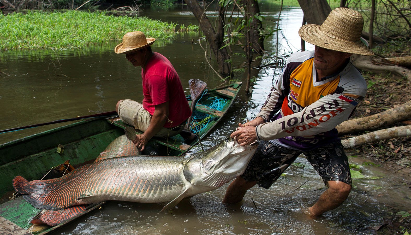 Fishermen near Fonte Boa, Brazil, catch a fish in a Solimoes River tributary Nov. 24, 2013. (CNS photo/Bruno Kelly, Reuters)