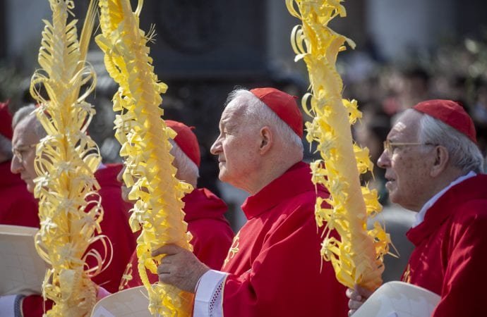 Cardinal Marc Ouellet, prefect of the Congregation for Bishops, and Cardinal Giovanni Battista Re, prefect of the Congregation for Bishops from 2005 to 2010, attend Pope Francis's celebration of Palm Sunday Mass in St. Peter's Square at the Vatican April 14, 2019. (CNS photo/Stefano Dal Pozzolo, pool via Crux)