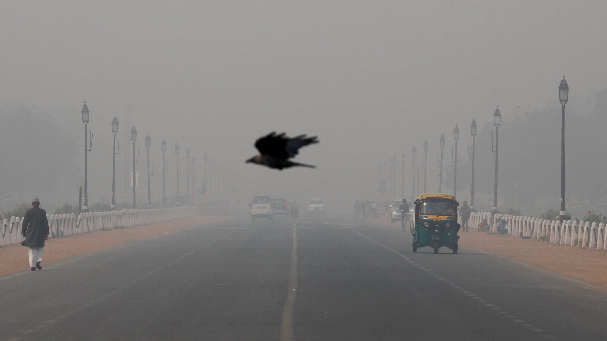 A bird flies through smog in New Delhi, India, Nov. 13, 2019. Pope Francis told participants at a Vatican City conference on criminal justice Nov. 15, that there are plans to include a definition of ecological and other "psycho-social phenomenon" hate sins in the Catechism of the Catholic Church. (CNS photo/Anushree Fadnavis, Reuters)