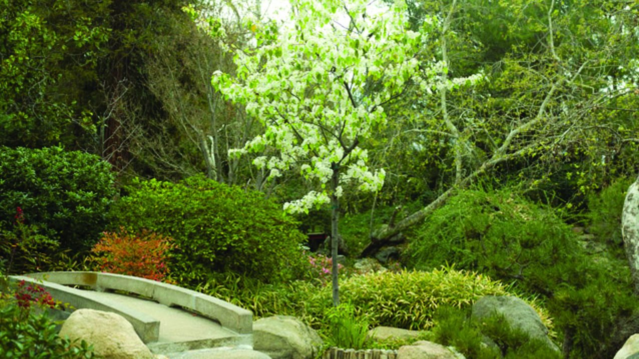 A view of the Storrier Stearns Japanese Garden in Pasadena. © Storrier Stearns Japanese Garden